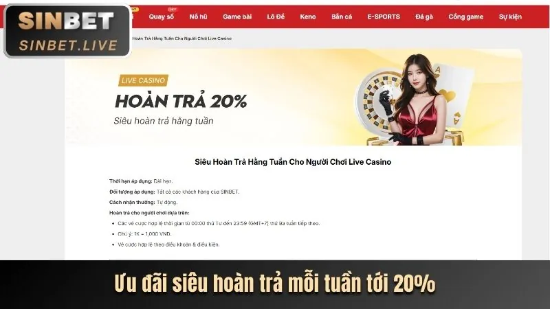 Chương trình VIP 8day win